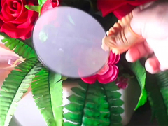 Filtr sieciowy z etykietą na rolce